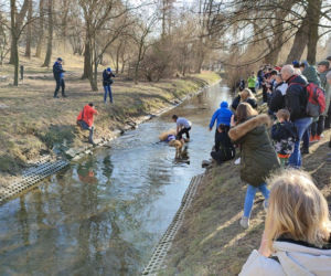 Marzannę zastąpili… Putinną. Pierwszy dzień wiosny w Kielcach
