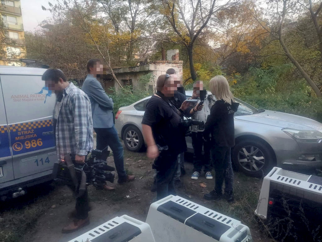 Łodzianka w takich warunkach trzymała blisko 100 buldogów!