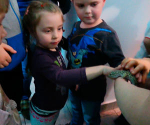 Muzeum Przyrodnicze w Krakowie: Jaszczurki i węże też lubią przytulanie!