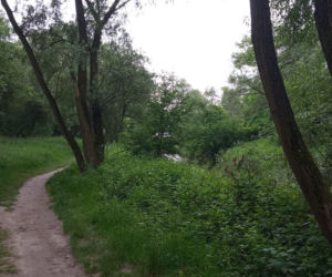 Park Rzeczny Wilga