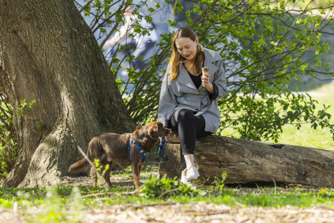 Pełczyńska-Nałęcz na siłowni. Tak wyglądał jej trening z psem