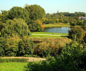 Królikarnia