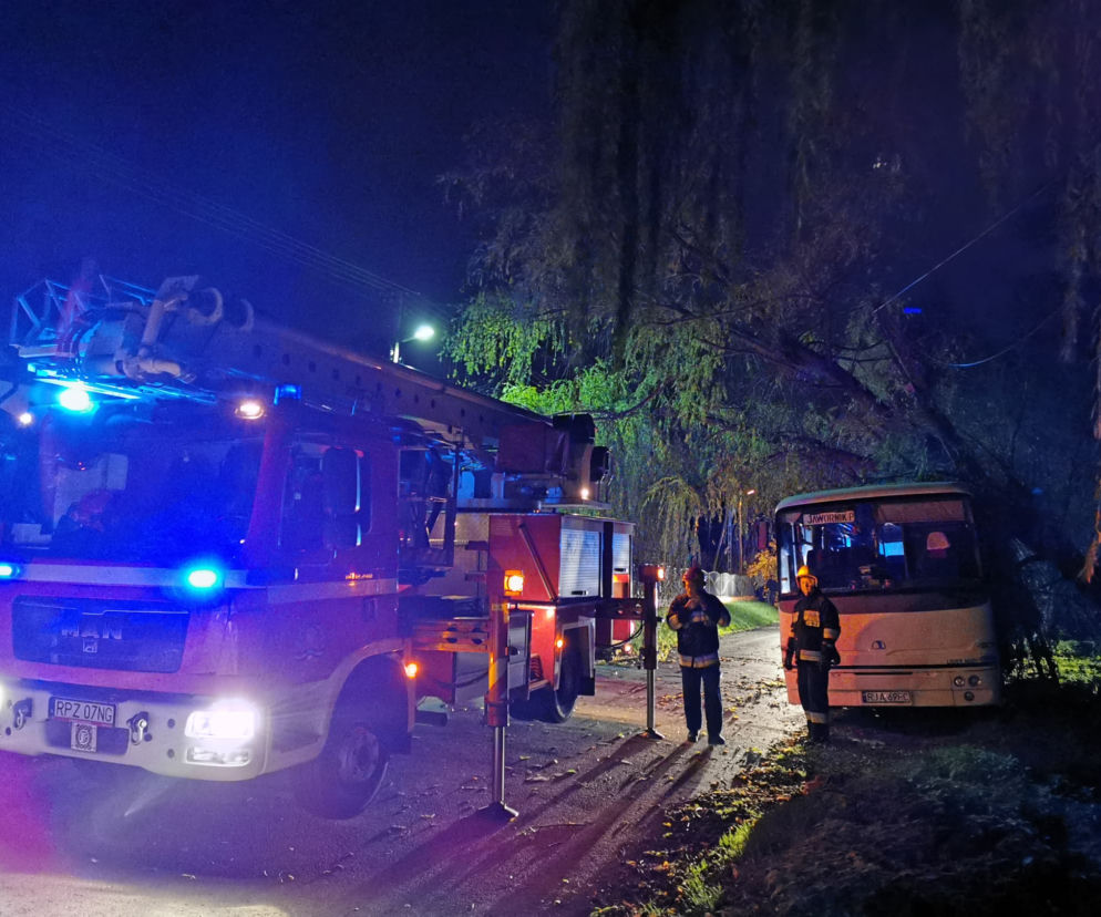 Wichura powaliła drzewo na autobus