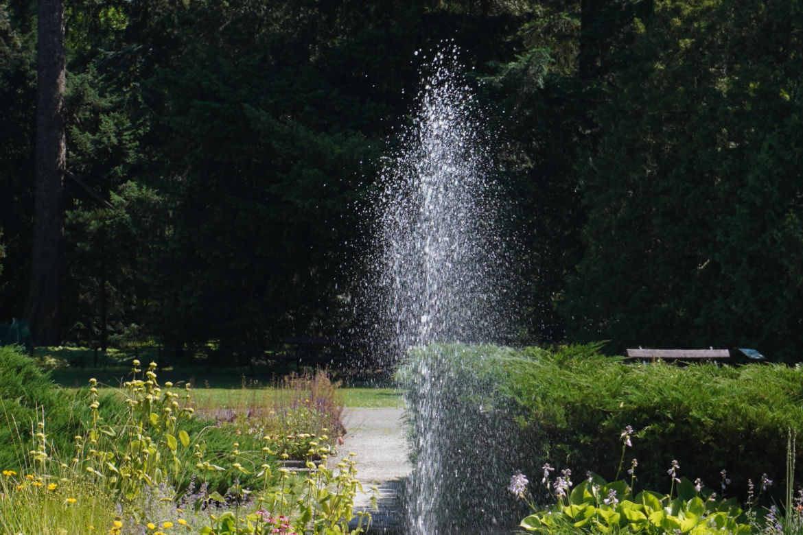 Ogród Botaniczny w Poznaniu 
