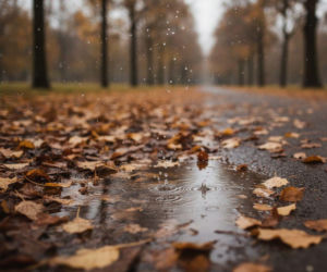 Weekend w Białymstoku nie będzie w pełni pogodny. Jeden dzień przyniesie opady deszczu