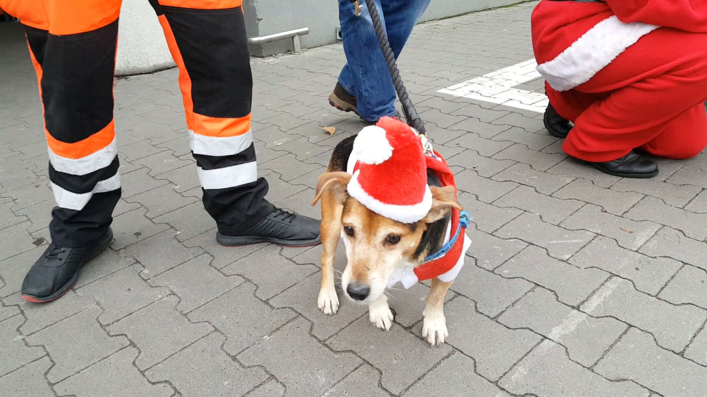 Motomikołaje 2019 w Bydgoszczy 