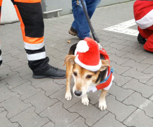 Motomikołaje 2019 w Bydgoszczy 