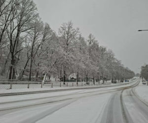 Atak zimy w Świętokrzyskiem. Śnieg i trudne warunki drogowe 23 Listopada 2025