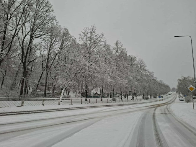 Atak zimy w Świętokrzyskiem. Śnieg i trudne warunki drogowe 23 Listopada 2025