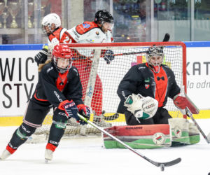 Mecz hokejowy Reprezentacji Artystów Polskich i Przedsiębiorców