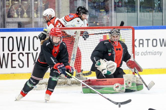 Mecz hokejowy Reprezentacji Artystów Polskich i Przedsiębiorców