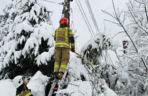 Podkarpacie pod śniegiem. Tysiące domów bez prądu, drogi sparaliżowane. Sprawdź, co dzieje się w regionie!