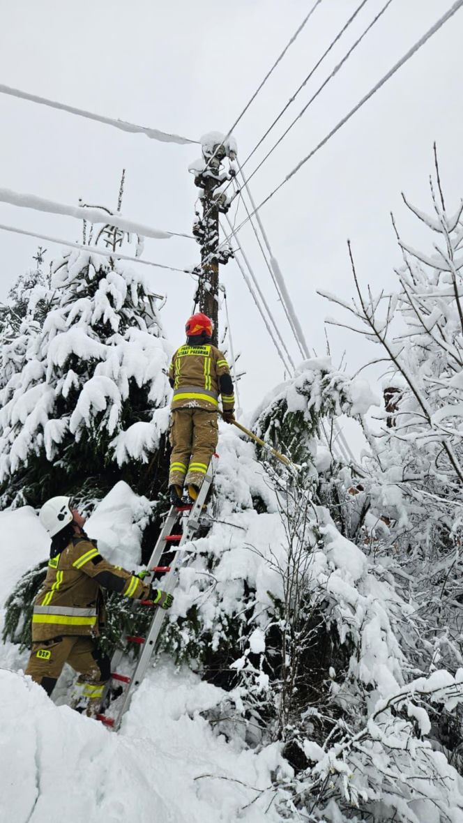 Podkarpacie pod śniegiem. Tysiące domów bez prądu, drogi sparaliżowane. Sprawdź, co dzieje się w regionie!