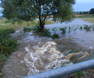 Wielka ulewa w Podlaskiem. Silny deszcz zalał ulice i posesje [ZDJĘCIA]
