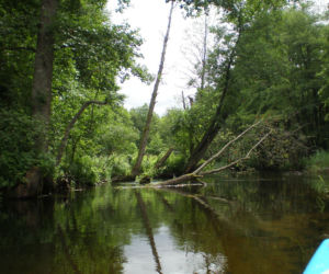 Czarna Hańcza