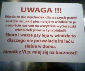 Oto najlepsze ogłoszenia z klatek schodowych!