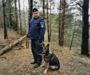 Kafar - nowy pies policyjny w Białymstoku