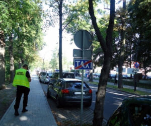 Gliwice: Nie potrafisz zaparkować samochodu? Zobacz jak robią to mistrzowie parkowania!