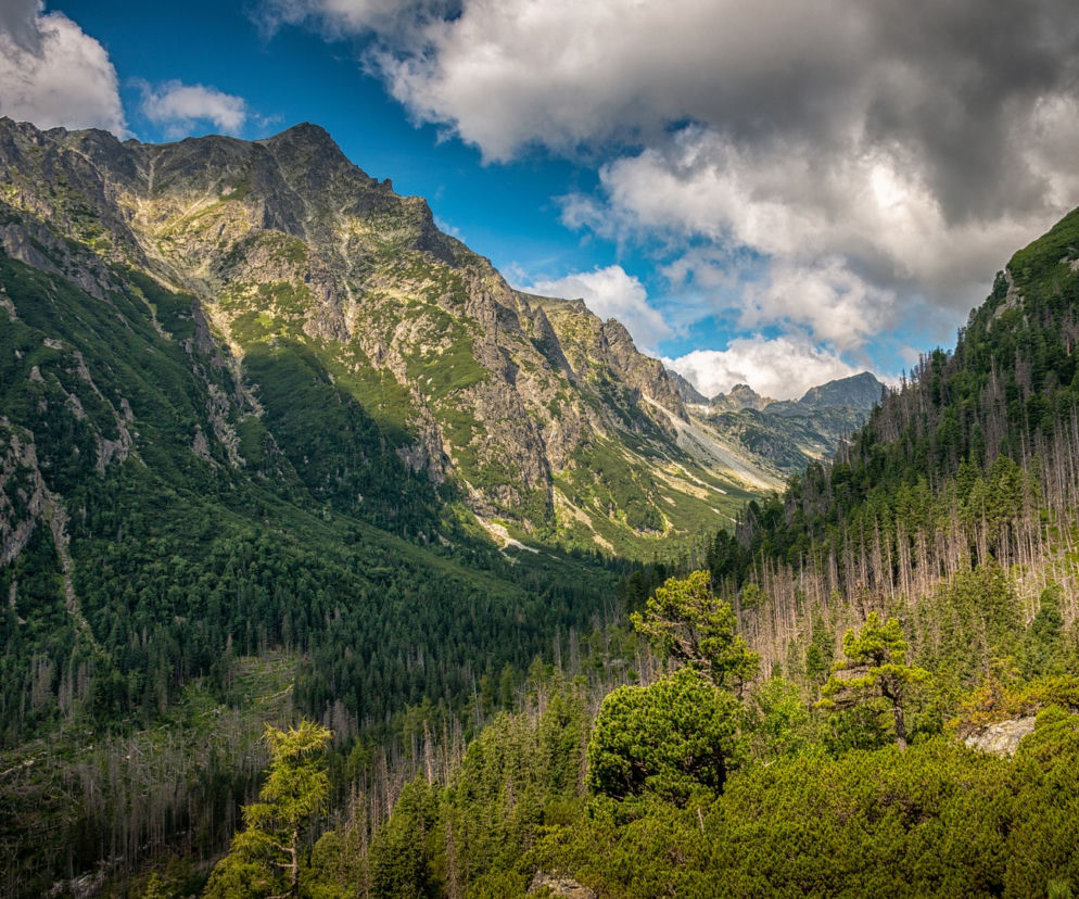 Tatry. W weekend gwałtowna zmiana pogody. Widok za oknem może być zwodniczy