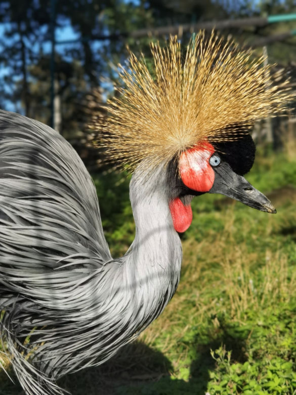 Warszawiacy pomogli ukraińskiemu zoo. Ogromny transport darów dla zwierząt już dotarł na miejsce