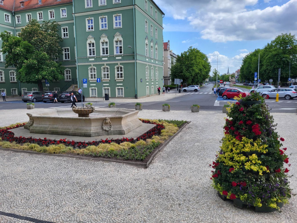 Kwiatowe kompozycje ozdobiły Szczecin