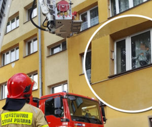Dziecko stało na parapecie