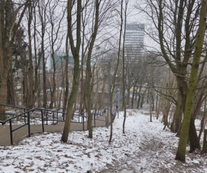 Schody do nieba w Bydgoszczy. Ponad 150 stopni, by dostać się na Wzgórze Wolności