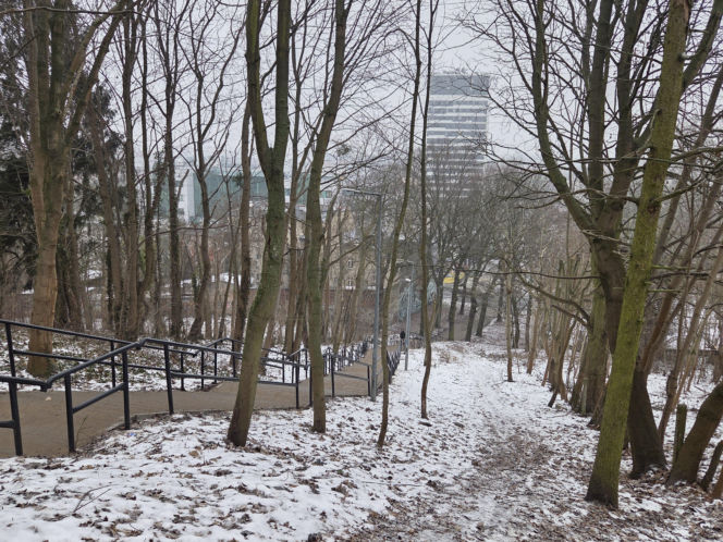 Schody do nieba w Bydgoszczy. Ponad 150 stopni, by dostać się na Wzgórze Wolności