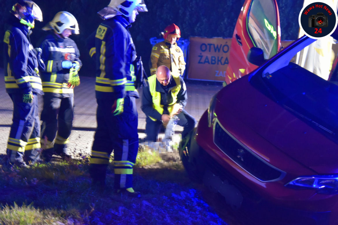 Wylądowali busem w rowie. Byli tak pijani, że nie mogli wyjść o własnych siłach