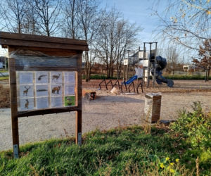 Park kieszonkowy Siedlce, ul. Traugutta