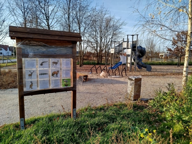 Park kieszonkowy Siedlce, ul. Traugutta