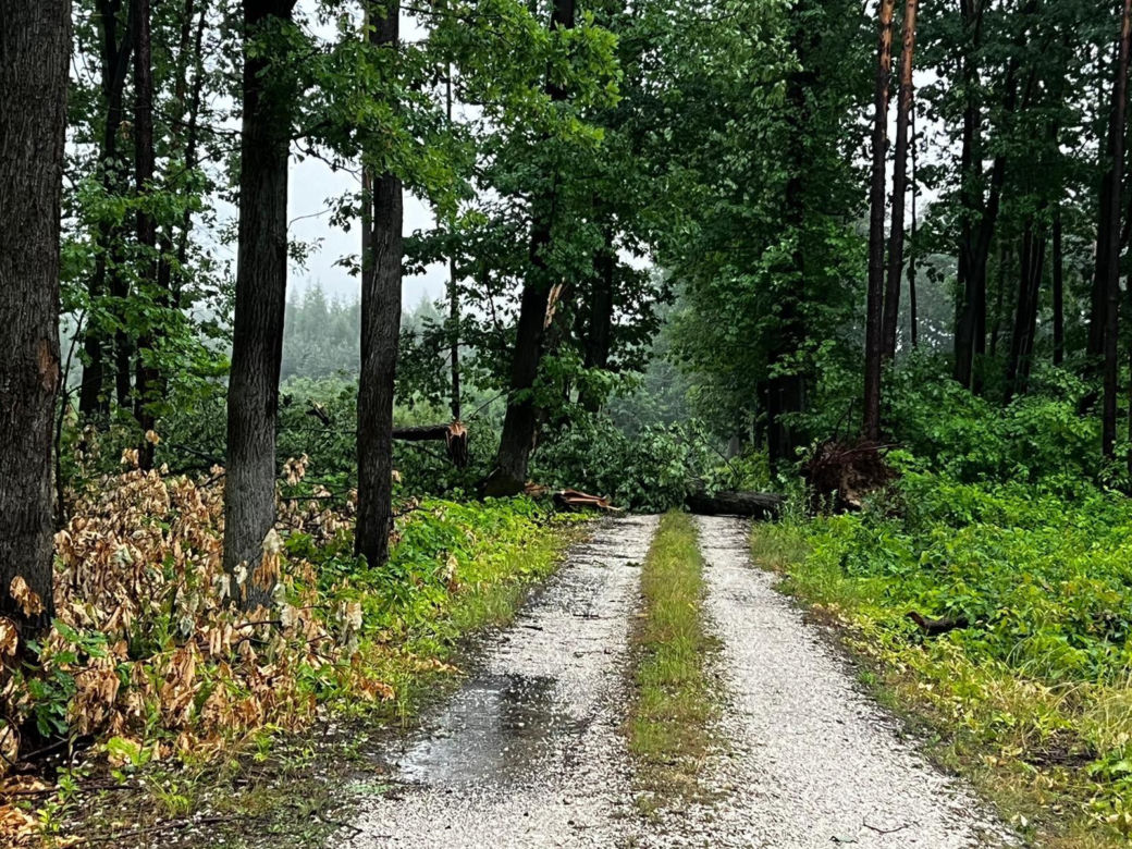 Nawałnice w Małopolsce. Setki interwencji straży pożarnej