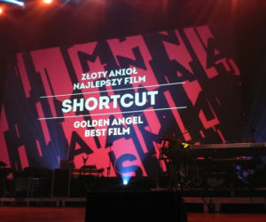 Zakończył się 17. MFF Tofifest w Toruniu - zdjęcia z gali