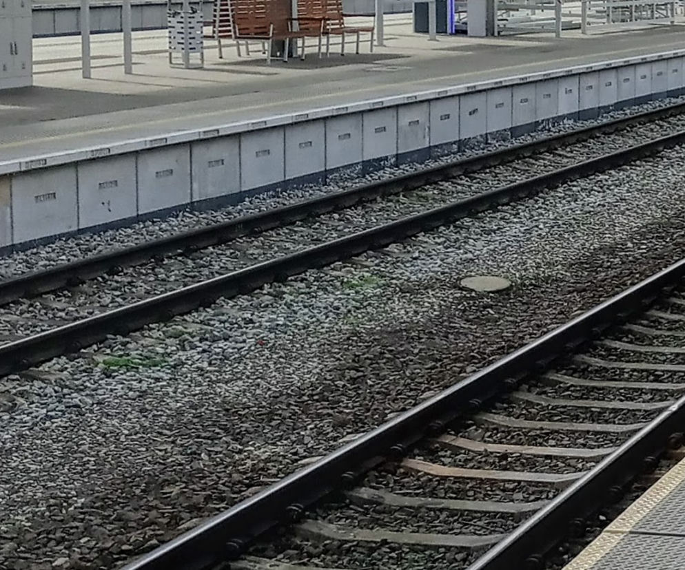 Zachodniopomorskie: Fatalna literówka na stacji PKP. Mieszkańcy rozbawieni