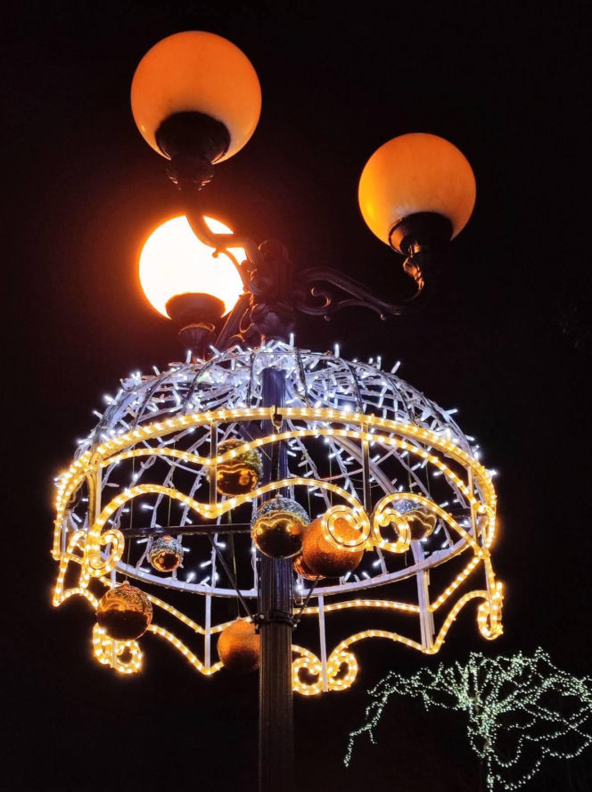 Choinka miejska Siedlce