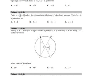 Matura 2020 - matematyka: ZADANIA, ARKUSZE CKE