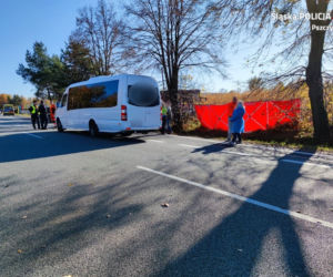 Pawłowice: Samochód zderzył się z autobusem. Jedna osoba zginęła, wielu rannych [ZDJĘCIA]
