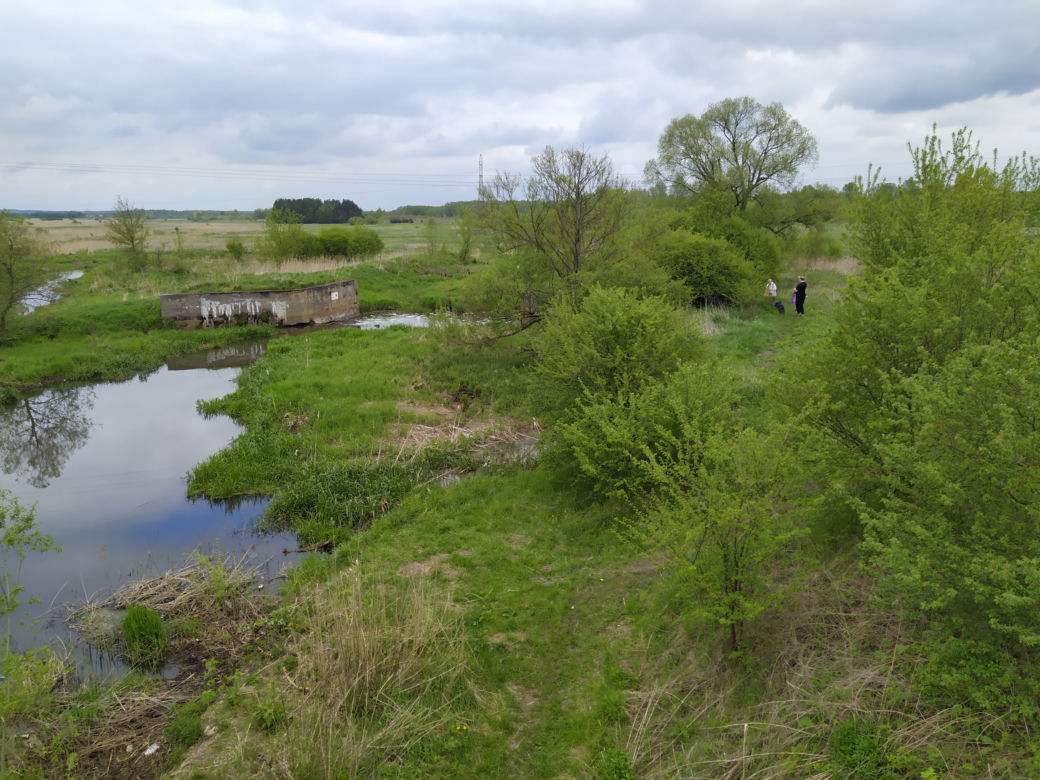 Sprzątanie mostu kolejowego nad rzeką Muchawką - 15.05.2021