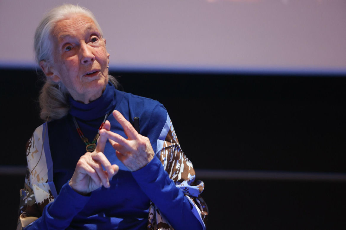 Jane Goodall - 1 października