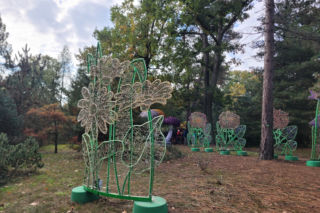 Poznański park iluminacji niemal gotowy! Jak wygląda Magiczny Las?