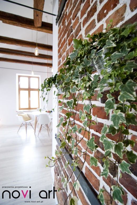 Apartament Kalwaryjska