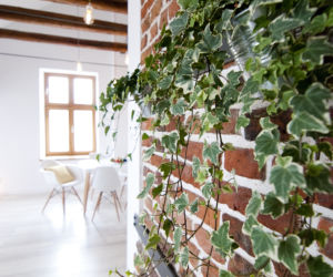 Apartament Kalwaryjska