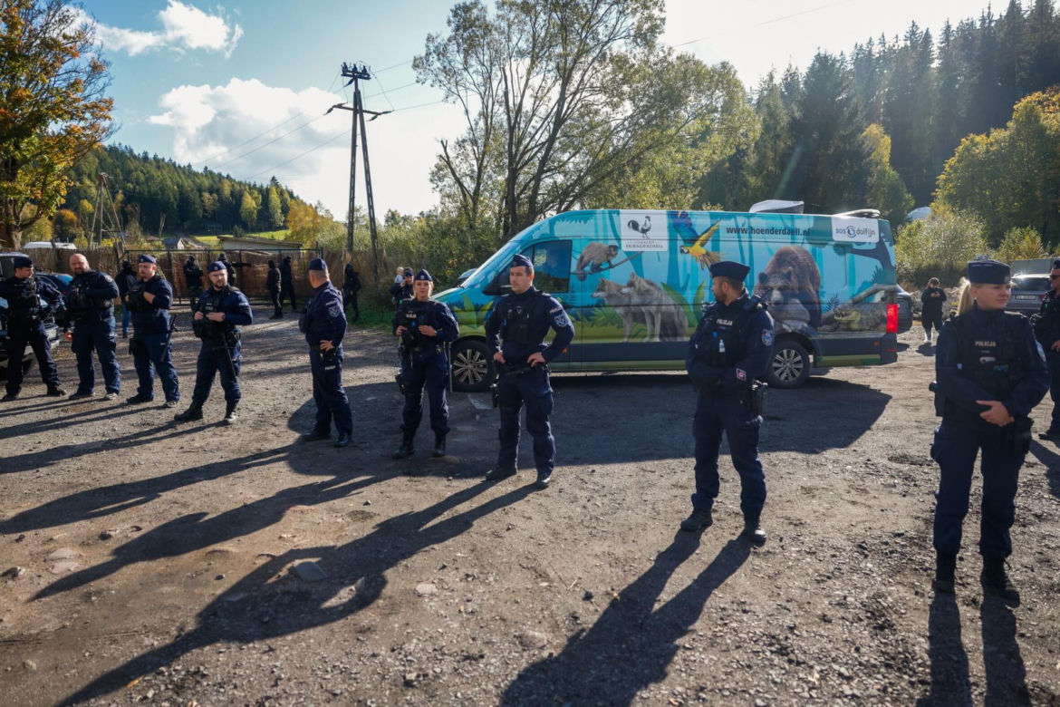 Gdzie zabrano zwierzęta z ZOO Łączna? Ujawnili nowe szczegóły akcji