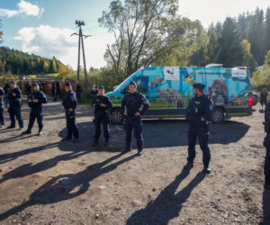 Gdzie zabrano zwierzęta z ZOO Łączna? Ujawnili nowe szczegóły akcji