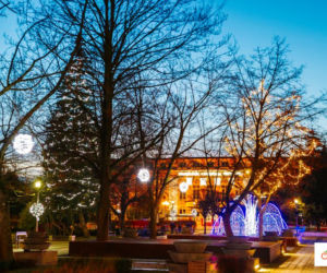 Bełchatów: Miasto rozbłysło tysiącem światełek! Bożonarodzeniowe iluminacje robią wrażenie 