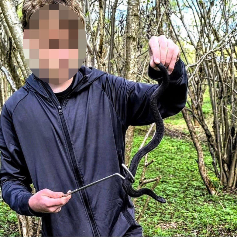 Jadowita żmija ukąsiła Miłosza