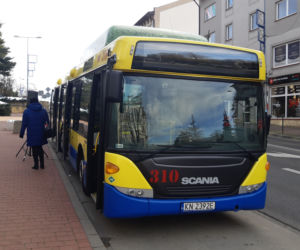 Solski autobus bajkowy