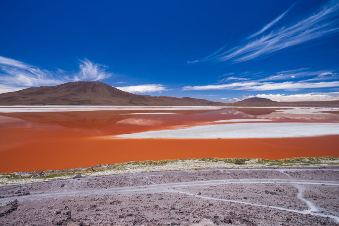 Laguna Colorada Jezioro w Boliwii