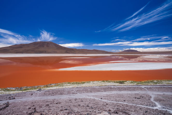 Laguna Colorada Jezioro w Boliwii