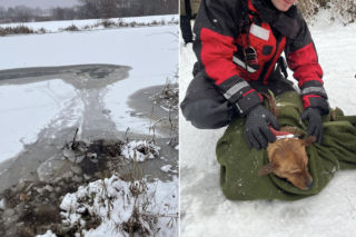 Heroiczna akcja strażaków w Nieporęcie. Pod psem załamał się lód